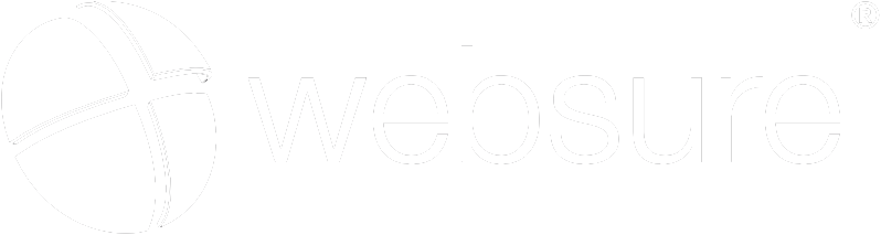 Transparent White logo for the Websure platform
